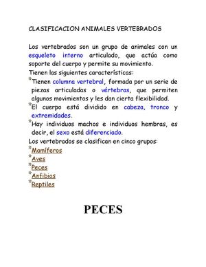 CLASIFICACION ANIMALES VERTEBRADOS