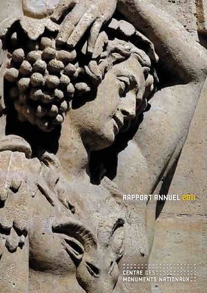 Rapport d'activité 2011
