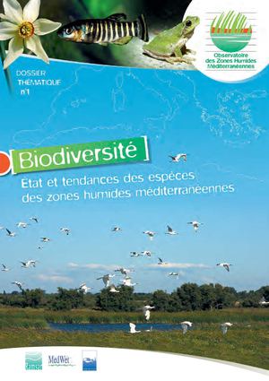 Biodiversité : état et tendances des espèces des zones humides méditerranéennes