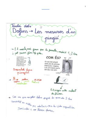 PROJECTE: ELS PINGÜINS (part 2)