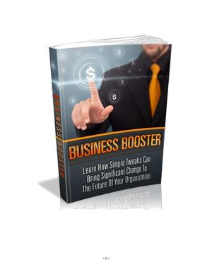 BusinessBooster-25wn8.pdf