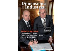 Dimensione Industria - n. 29