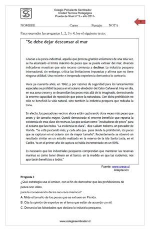 ensayo 2 medio lenguaje