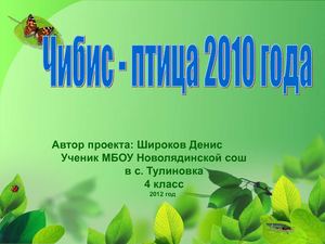 "Чибис - птица 2010 года"
