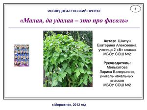 "Малая, да удалая – это про фасоль"