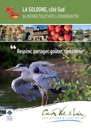 La Sologne, côté sud