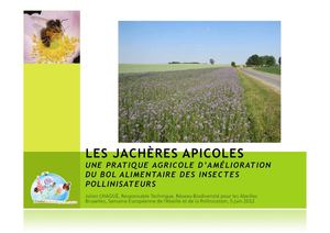 Les jachères apicoles