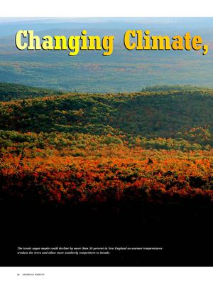 Global Warming: Sugar Maple could Decline by More than 50 Percent