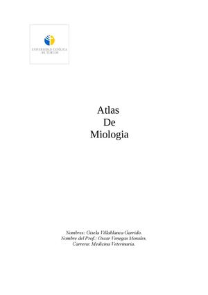 atlas de miologia