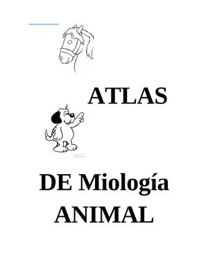 Atlas - Miologia