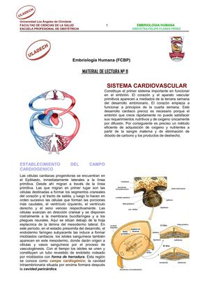 SISTEMA_CARDIOVASCULAR