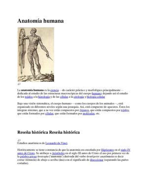 Anatomía humana