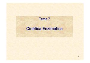 CINETICA ENZIMATICA