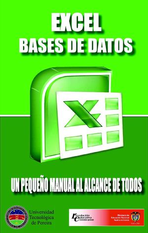 E-book Bases De Datos Excel