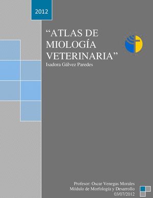 Atlas de Miología Veterinaria