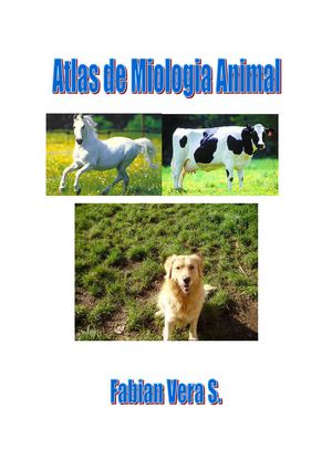 Atlas Miologia Animal