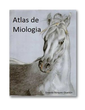 Atlas de anatomia