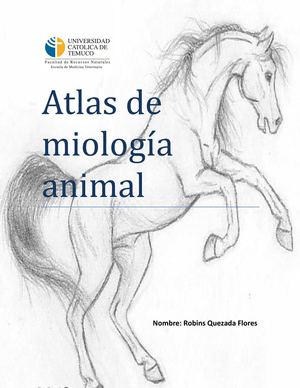 Atlas de anatomia animal
