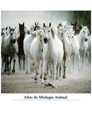 Atlas Miologia Animal