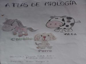 ATLAS DE ANATOMÍA VETERINARIA