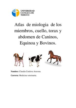 miologia equina, bovina y canina.