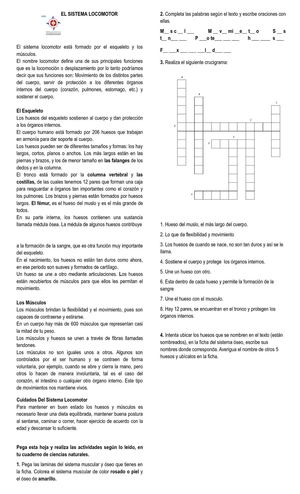 EL SISTEMA LOCOMOTOR