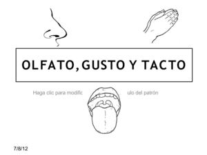 Olfato, gusto y tacto