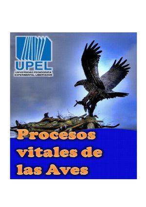 Procesos vitales de las aves