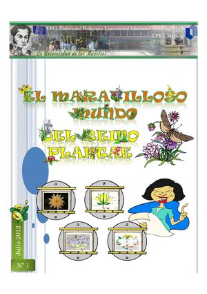 Plantas Angioespermas