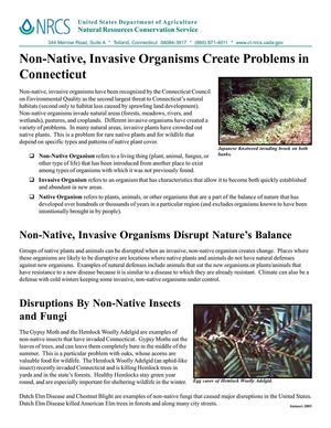 Non-Native, Invasive Organisms Create Problems in Connecticut