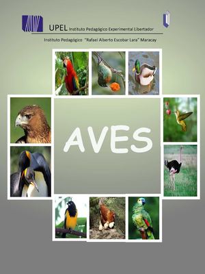 aves