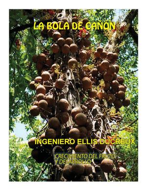 Reportaje sobre la bola de cañon