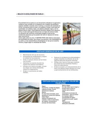 Ficha tecnica Pelicula ACOLCHADA