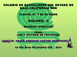 RECURSO DIDACTICO: ARN Y SÍNTESIS DE PROTEÍNAS