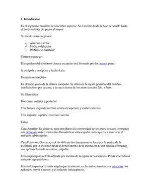 musculos del miembro superior