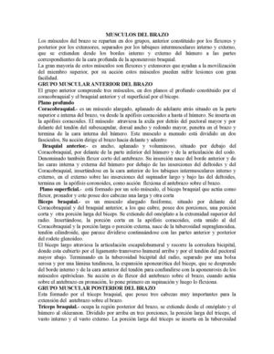ensayo de los musculos del brazo
