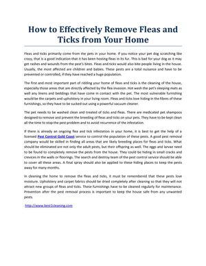 Calaméo - How to Effectively Remove Fleas and Ticks from Your Home - Winter Flea Removal Services For Homes