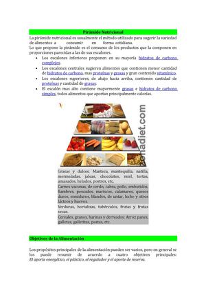 PIRÁMIDE NUTRICIONAL