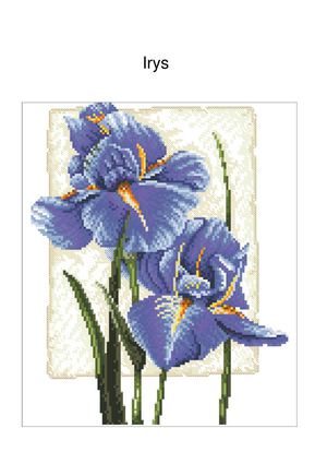 Irys -  Haft Krzyżykowy
