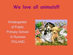 Cats are our favorite animals!