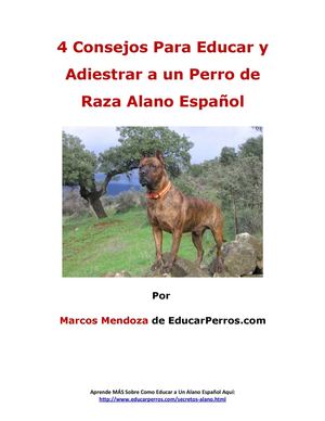 4 Consejos Para Educar y Adiestrar a un Perro de Raza Alano