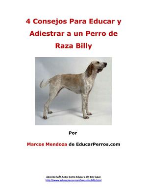 4 Consejos Para Educar y Adiestrar a un Perro de Raza Billy