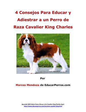 4 Consejos Para Educar y Adiestrar a un Perro de Raza Cavalier King Charles