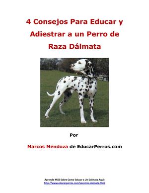 4 Consejos Para Educar y Adiestrar a un Perro de Raza Dálmata
