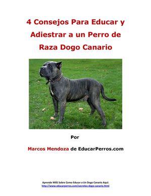 4 Consejos Para Educar y Adiestrar a un Perro de Raza Dogo Canario