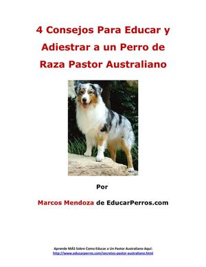 4 Consejos Para Educar y Adiestrar a un Perro de Raza Pastor Australiano