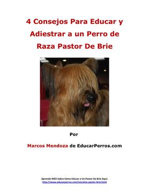 4 Consejos Para Educar y Adiestrar a un Perro de Raza Pastor de Brie