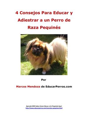 4 Consejos Para Educar y Adiestrar a un Perro de Raza Pequinés