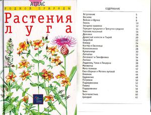 Растения луга