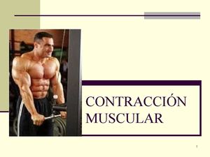 CONTRACCION MUSCULAR